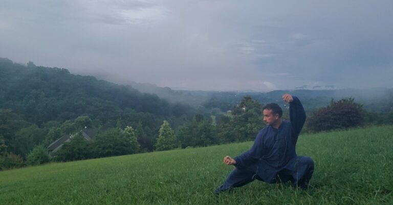 Tai Chi Course with Nick Kusturic