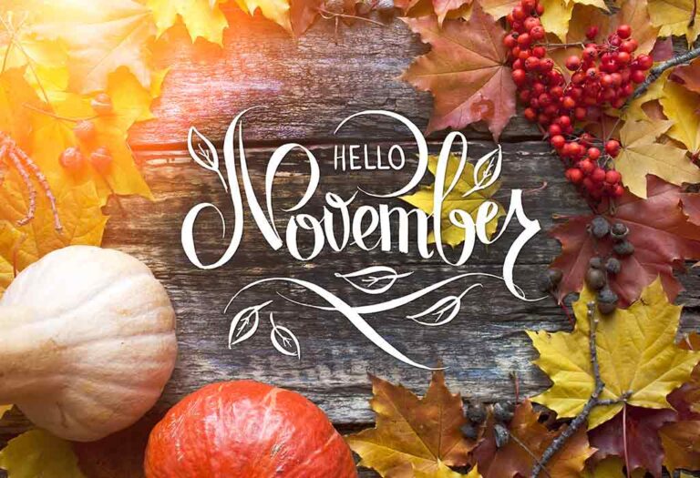 Welcome to November 2024