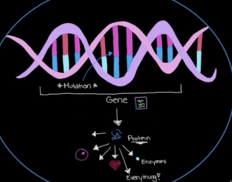 The Tackling Tough Topics BLOG 14: Genetics- A Potential Parkinson’s Diagnosis When It Runs in Your Family.
