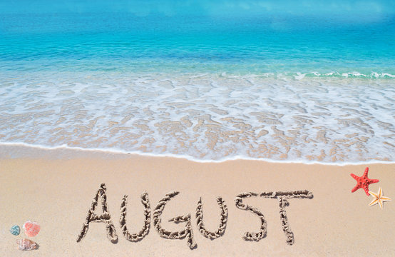 Welcome to August 2025…