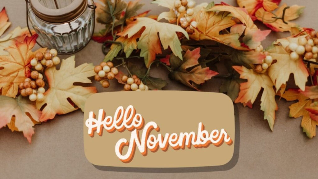 Welcome to November 2025…