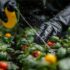 Screenshot 2026-05-03 183336