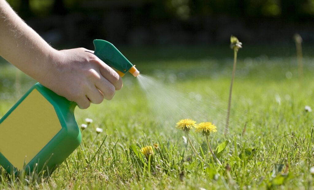 Glyphosate and Parkinson's Disease: Examining the Evidence