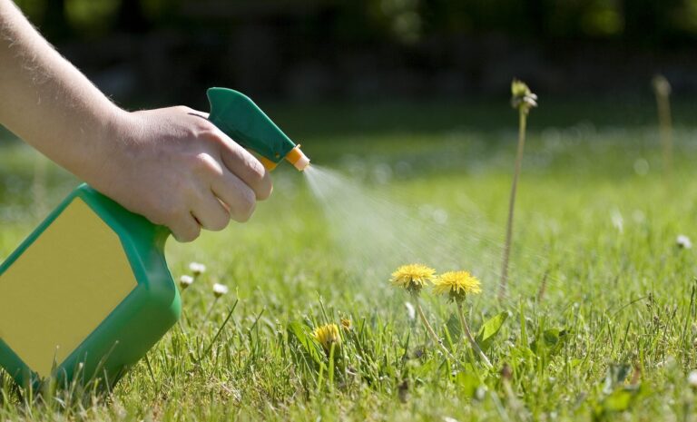 Glyphosate and Parkinson’s Disease: Examining the Evidence