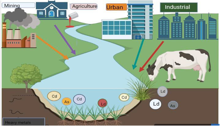 Heavy Metals, Pesticide Exposure, and Agriculture: Environmental Risks and Parkinson’s Disease